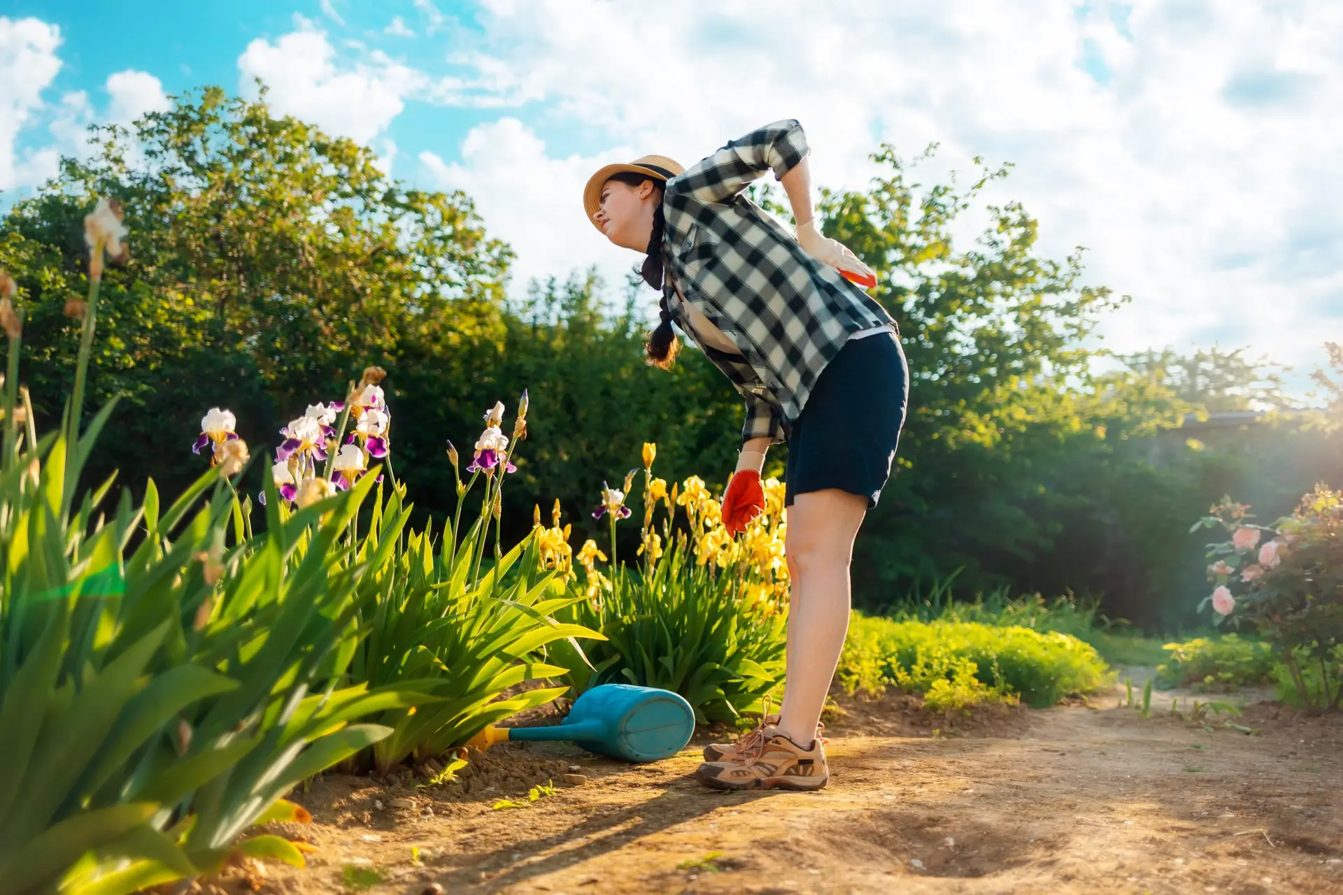 How to Prevent Back Pain With Simple Movements AdobeStock 506457547 scaled How to Prevent Back Pain With Simple Movements